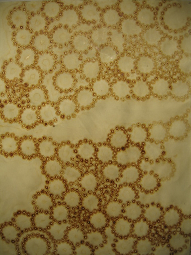 Jonathan Brilliant: Rust on Paper available for purchase